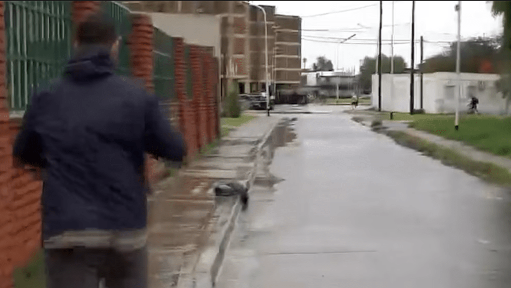 Fueron a cubrir un temporal y terminaron siendo víctimas del delito el insólito robo en vivo en Dock&nbsp;Sud