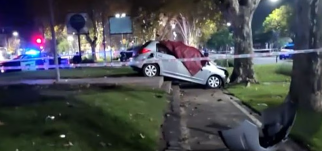 Una mujer murió tras un choque contra un árbol en el barrio porteño de Vélez&nbsp;Sarsfield