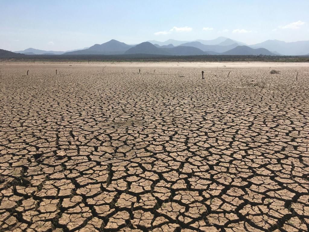 Medidas de asistencia para productores afectados por&nbsp;clima
