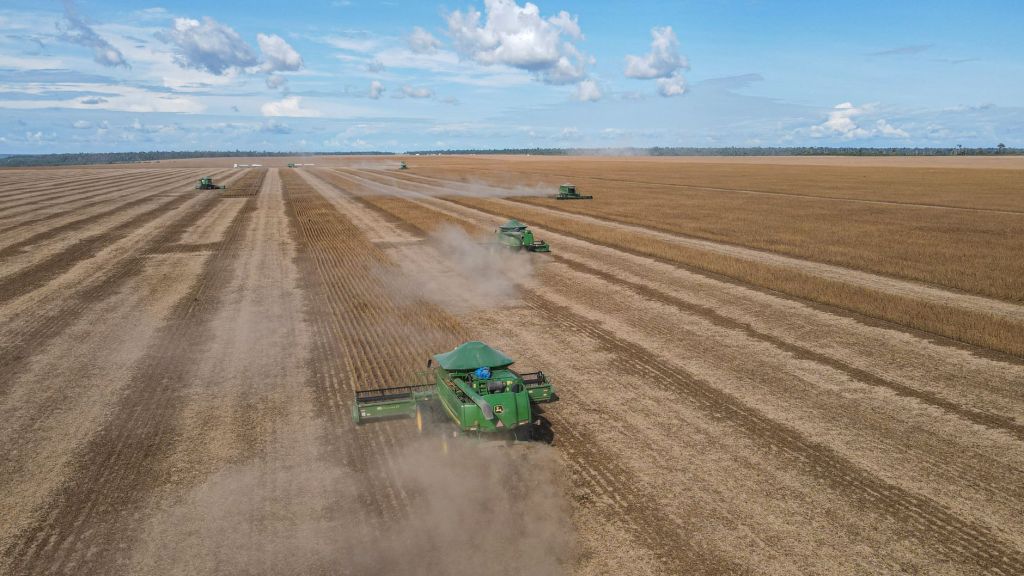 Campo en apogeo: 128% de crecimiento en exportaciones abre camino a&nbsp;expansión