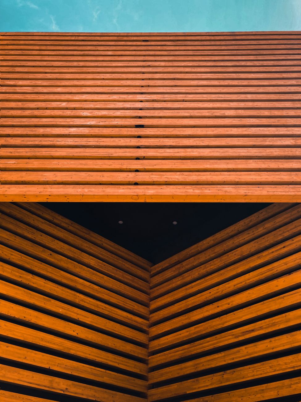 Inversion millonaria trae sistema constructivo de madera a&nbsp;Argentina